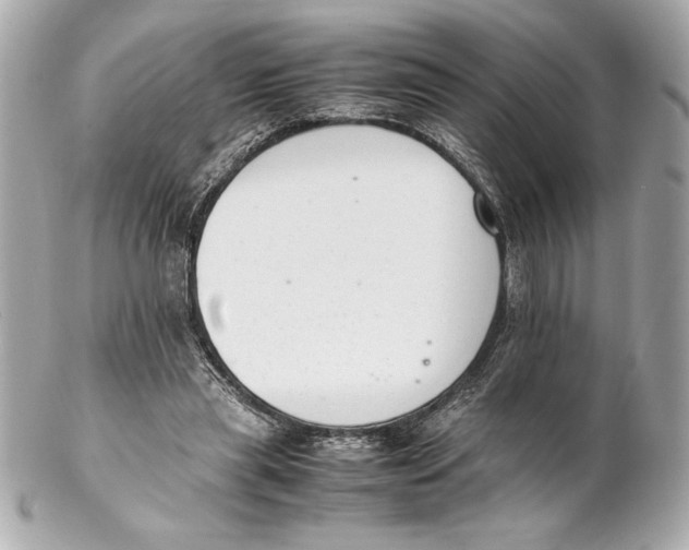 X0000102260445200808151844