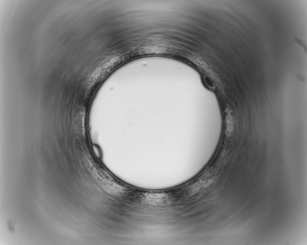 X0000102260446200808151844