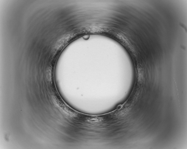 X0000102260447200808151844