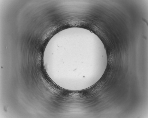 X0000102260448200808151844