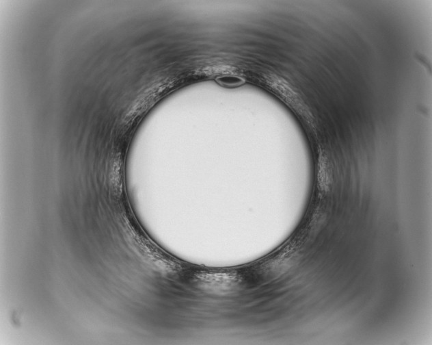 X0000102260449200808151844