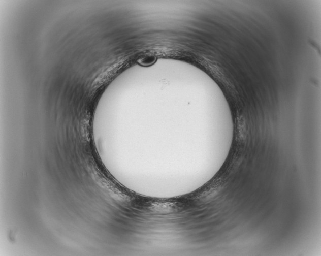 X0000102260450200808151844