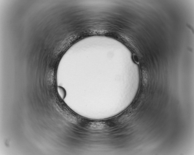 X0000102260451200808151844