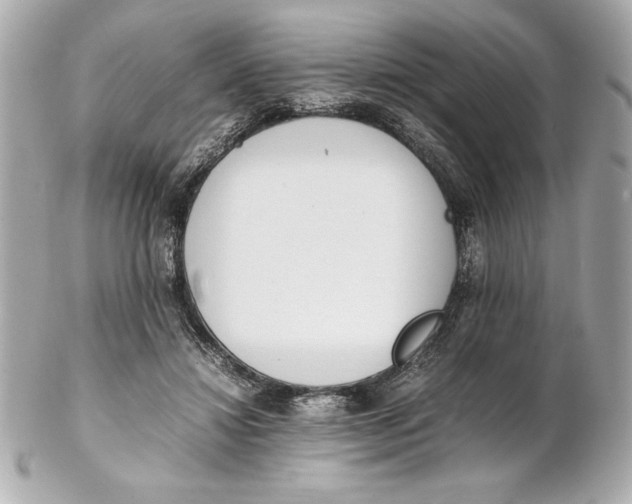 X0000102260452200808151844