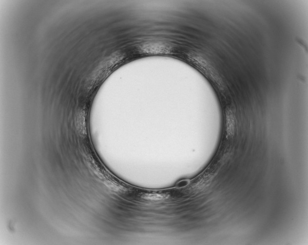 X0000102260453200808151844