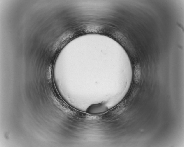 X0000102260454200808151844