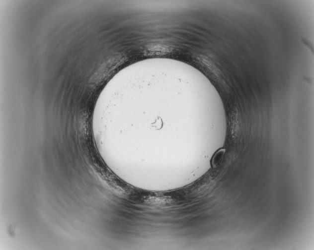 X0000102260455200808151844