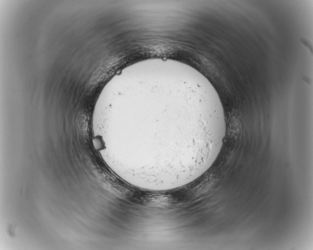X0000102260456200808151844
