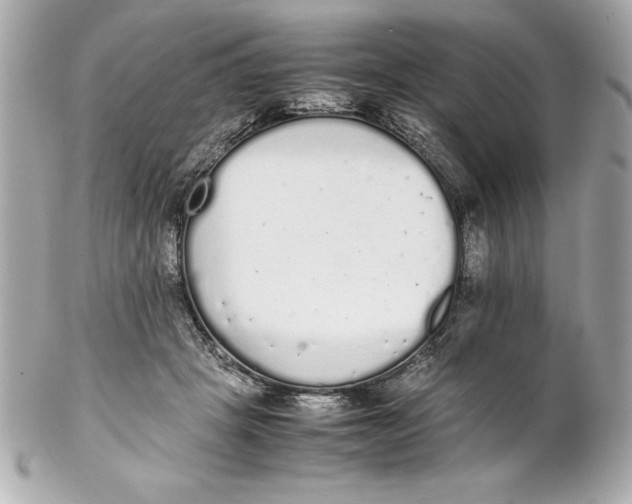 X0000102260457200808151844