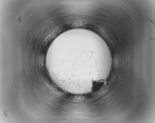 X0000102260458200808151844