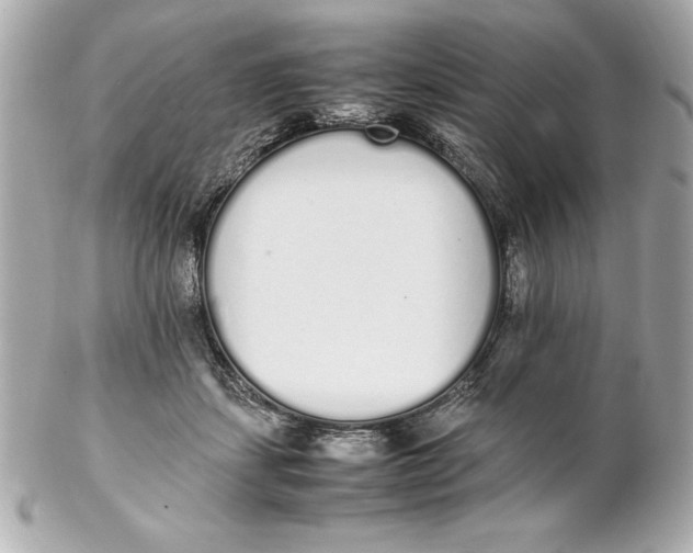X0000102260459200808151844