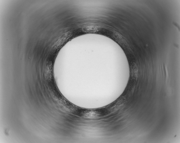 X0000102260460200808151844