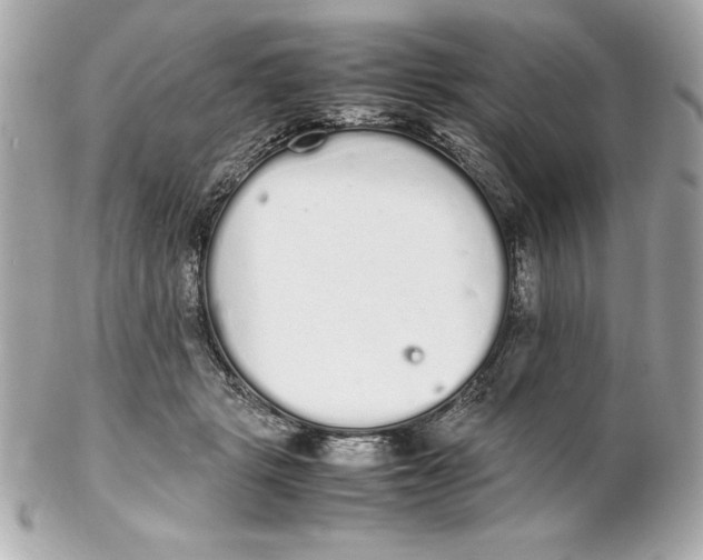 X0000102260461200808151844