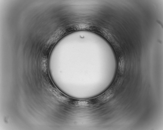 X0000102260462200808151845