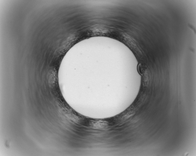 X0000102260463200808151845