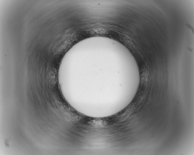 X0000102260464200808151845