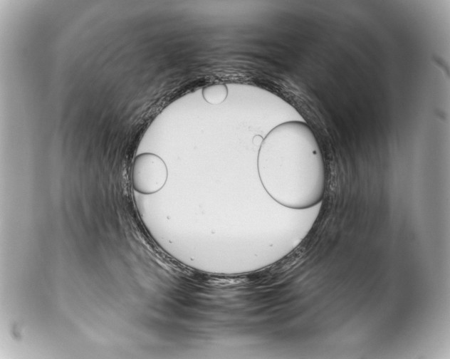 X0000102260465200808151845
