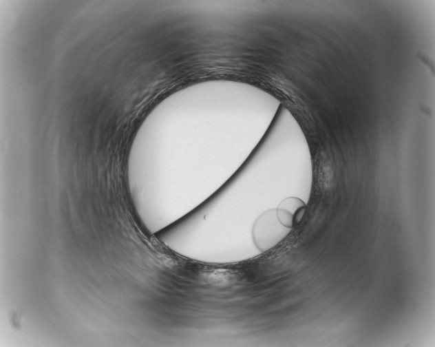 X0000102260467200808151845