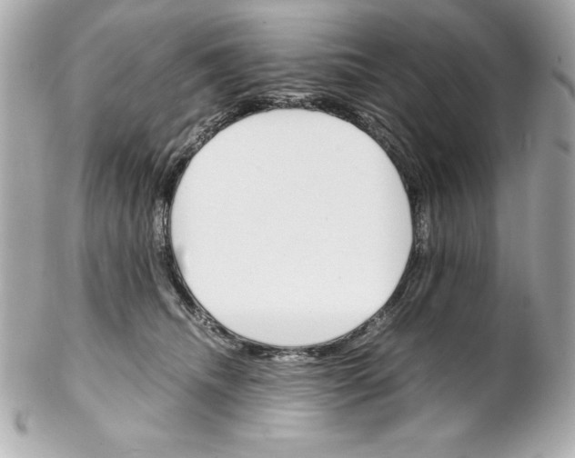 X0000102260468200808151845