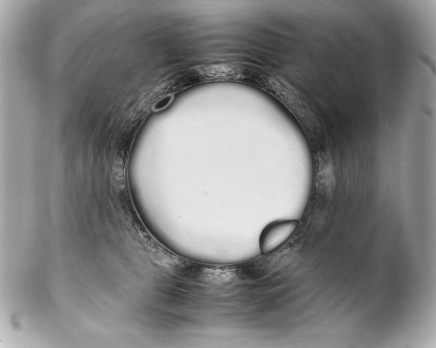 X0000102260469200808151845