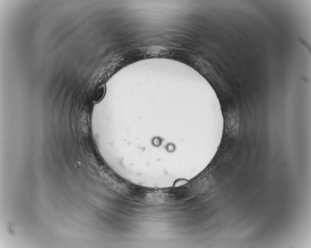 X0000102260470200808151845