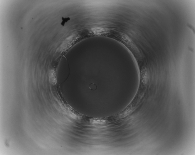 X0000102260471200808151845