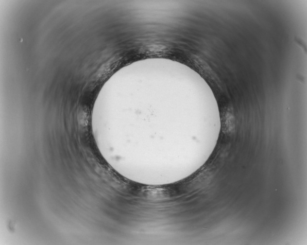 X0000102260472200808151845