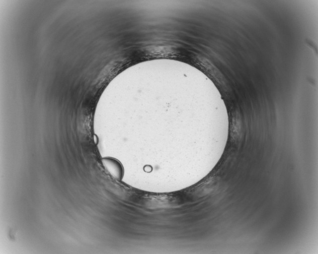 X0000102260473200808151845