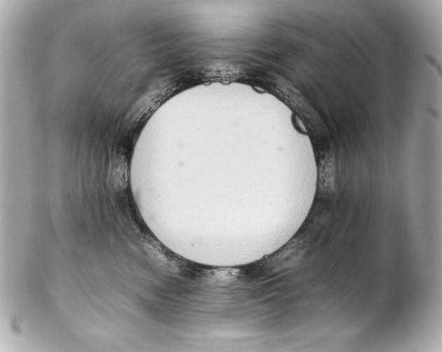 X0000102260474200808151845