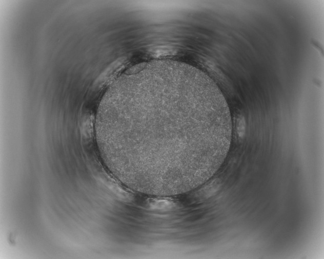 X0000102260475200808151845