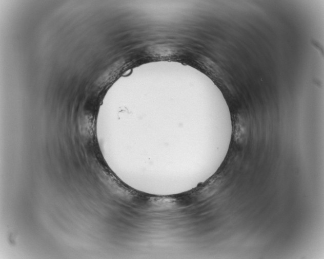 X0000102260476200808151845