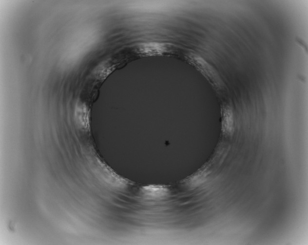 X0000102260477200808151845