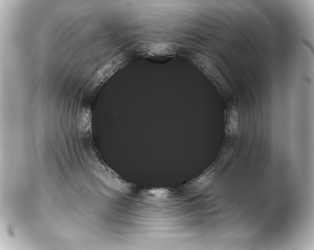 X0000102260478200808151845