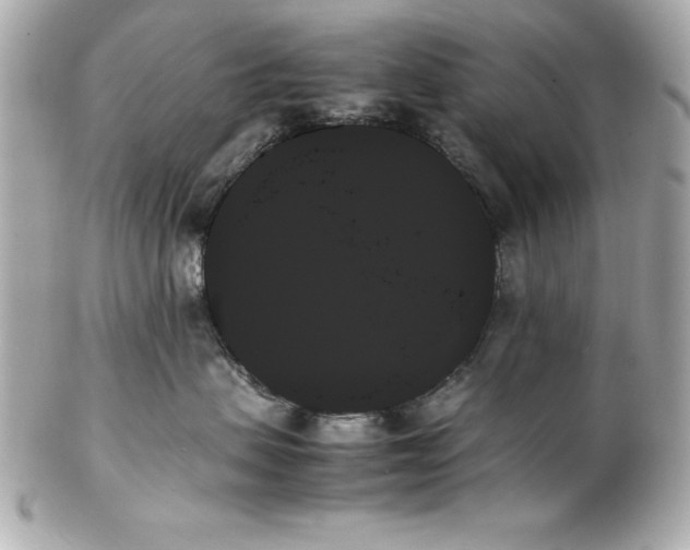 X0000102260479200808151845