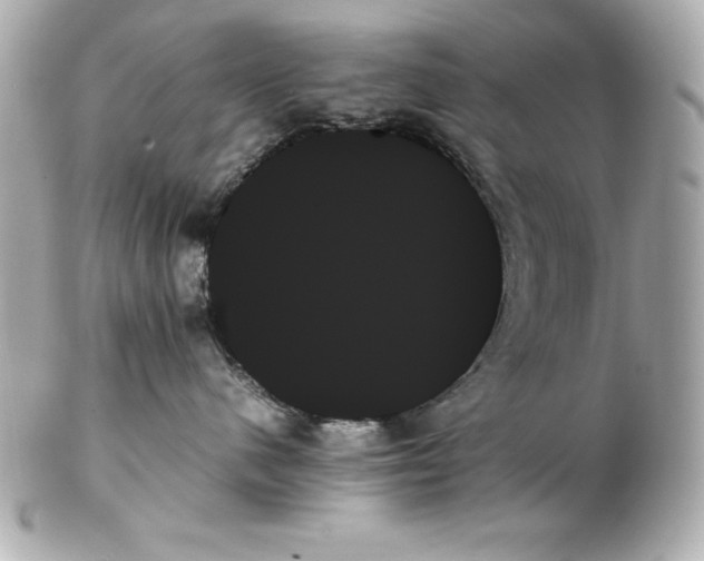 X0000102260480200808151845