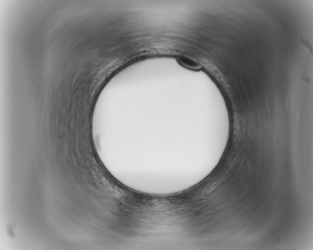 X0000102260481200808151844