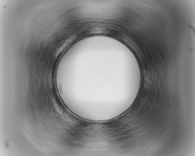 X0000102260482200808151844