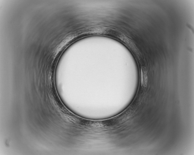 X0000102260483200808151844