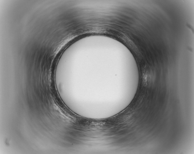 X0000102260484200808151844