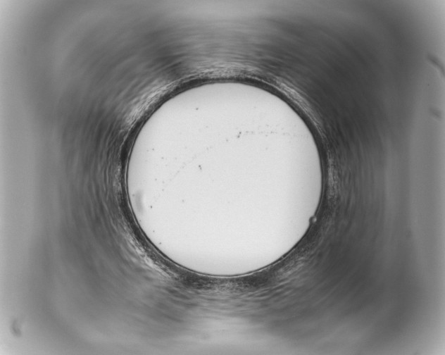 X0000102260485200808151844