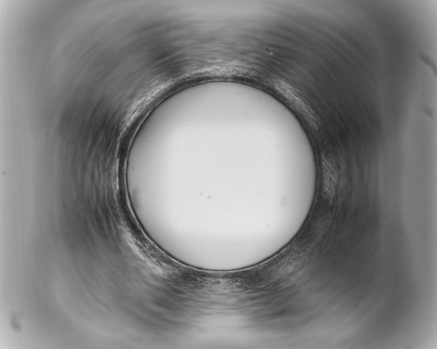 X0000102260486200808151844