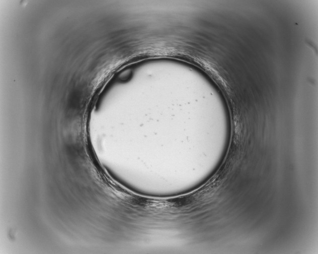 X0000102260487200808151844
