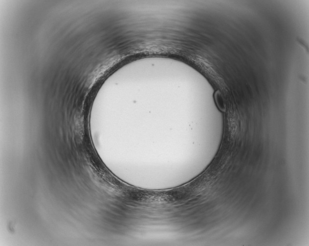X0000102260488200808151844