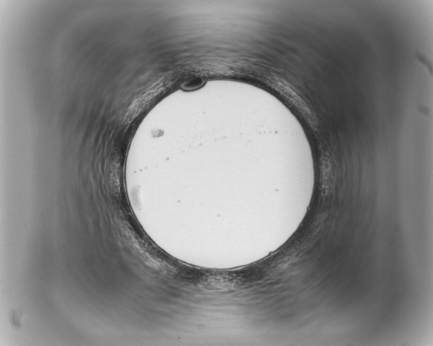 X0000102260489200808151844