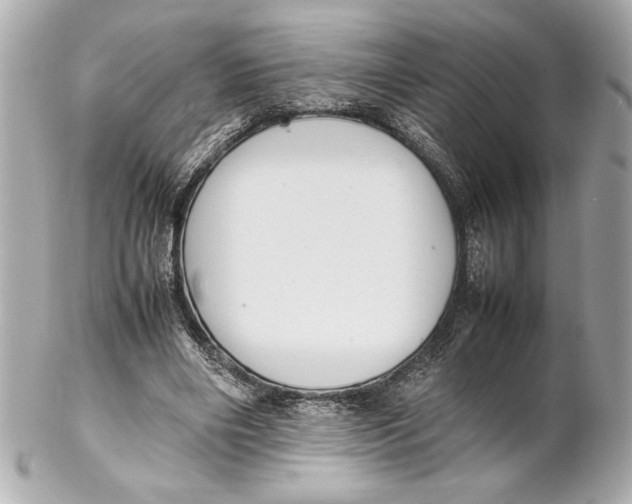 X0000102260490200808151844