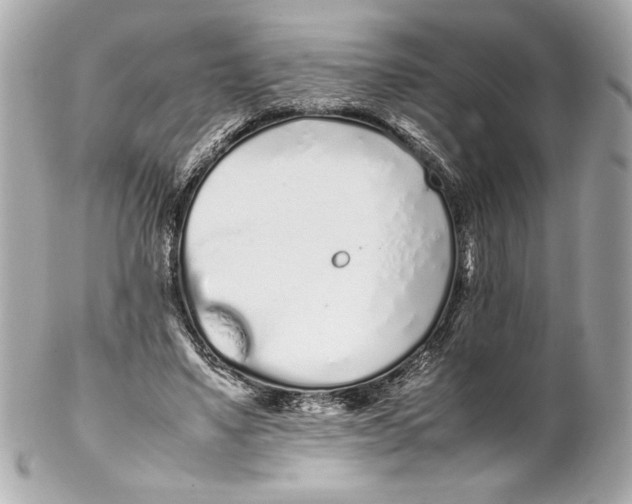 X0000102260491200808151844