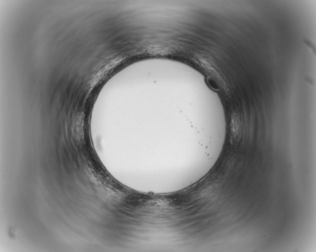 X0000102260492200808151844
