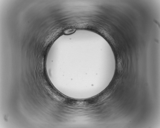 X0000102260493200808151844