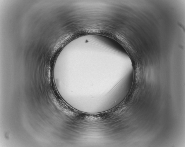 X0000102260494200808151844