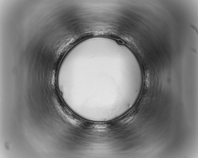 X0000102260495200808151844